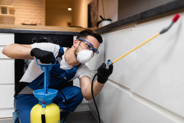 Best Cockroach Control Services  in Viola, NY