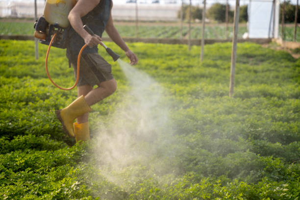 Best Best Pest Control Companies  in Viola, NY