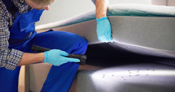 Best Affordable Pest Control Services  in Viola, NY
