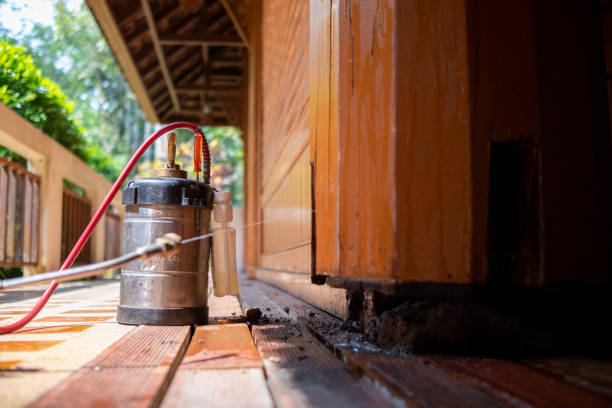 Wasp Removal Services in Viola, NY