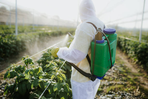 Best Mosquito Control Services  in Viola, NY
